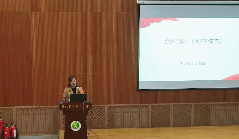 90bb84cccb454fc4867f54259e8a2345.jpg 02.jpg