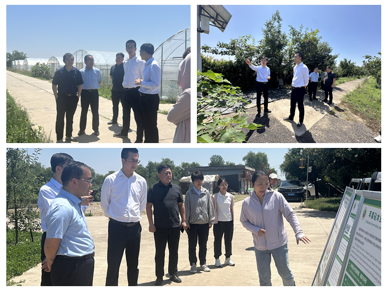 试验基地考察.jpg
