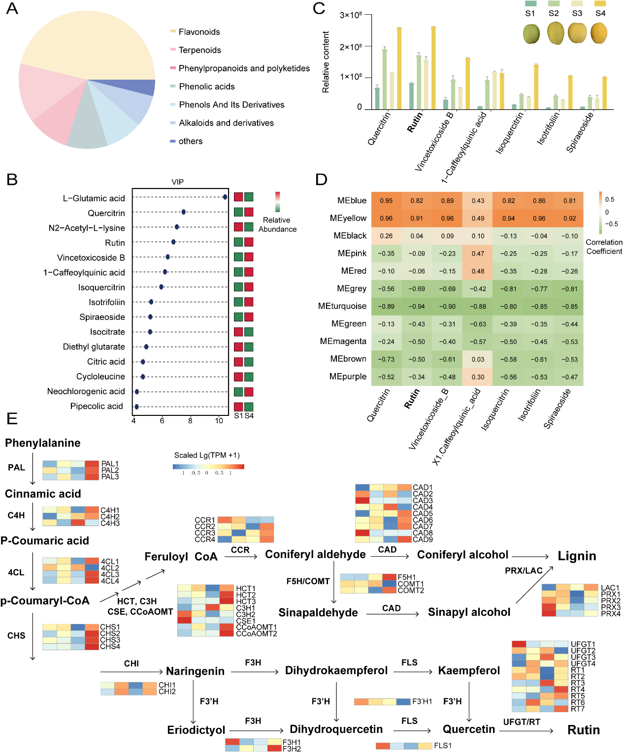 图表 AI 生成的内容可能不正确。