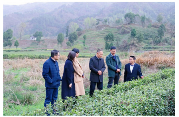 829a358517334f248f2711432dd4bcb1.jpg 3.jpg