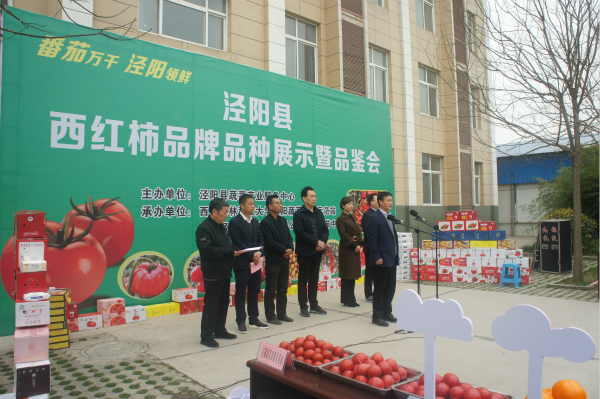 89e1731044664b6aab5cd3e68d43a2d1.jpg 1.jpg