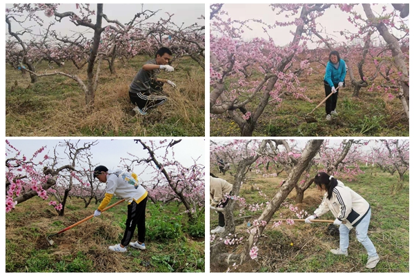 de3a39d364b440ec823f06f8b8fc31da.jpg 劳动剪影.jpg