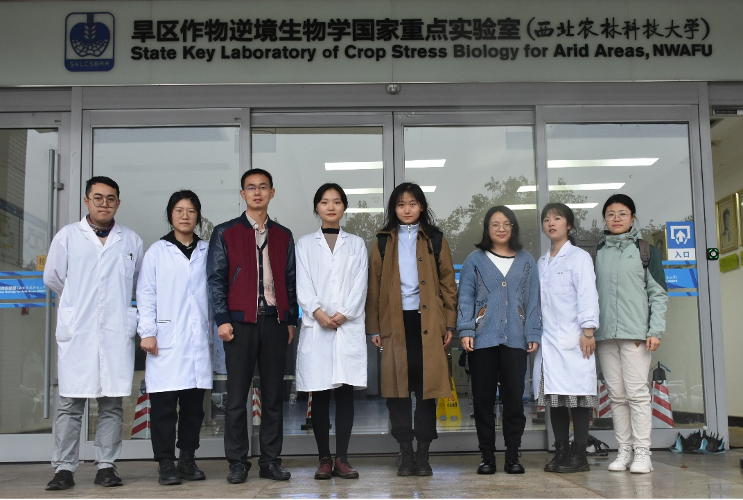 206302833b2441a79f17cf51996c6552.png 206302833b2441a79f17cf51996c6552.png