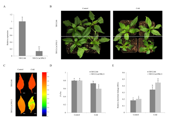 255cc06038ab40428eee0cfa0b7105dd.png 255cc06038ab40428eee0cfa0b7105dd.png