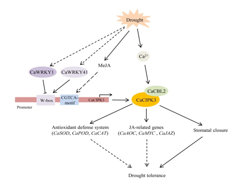 794c87bc4306438f8523f437e168556d.png 794c87bc4306438f8523f437e168556d.png