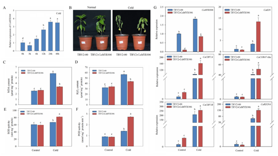 a6affbef58e64374bc77589723ba5f62.png a6affbef58e64374bc77589723ba5f62.png