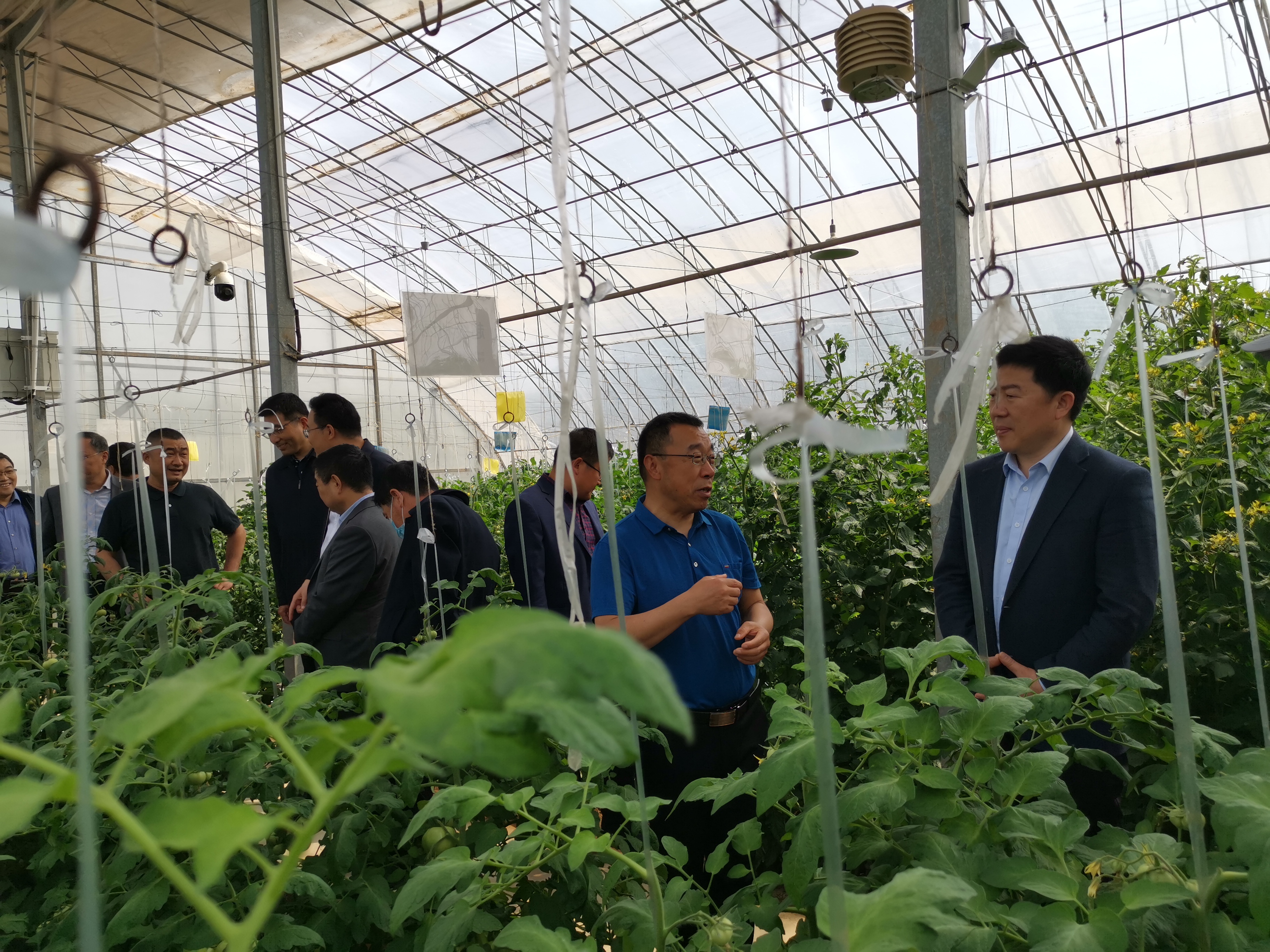 19da52ac117f4feb92490be08dfabae1.jpg 19da52ac117f4feb92490be08dfabae1.jpg