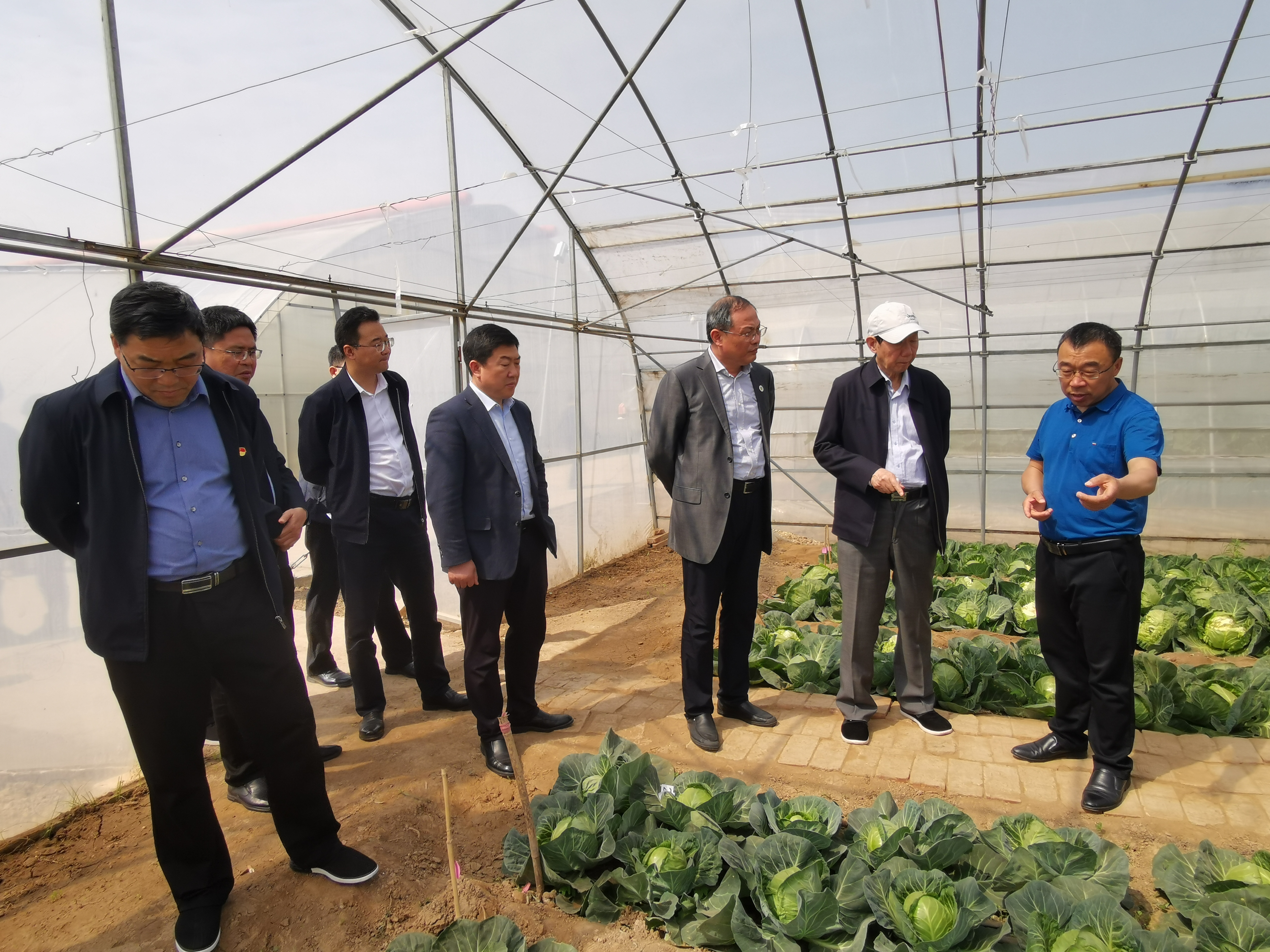 1a9ae1e5a9584491a32c4977fa8b8be3.jpg 1a9ae1e5a9584491a32c4977fa8b8be3.jpg