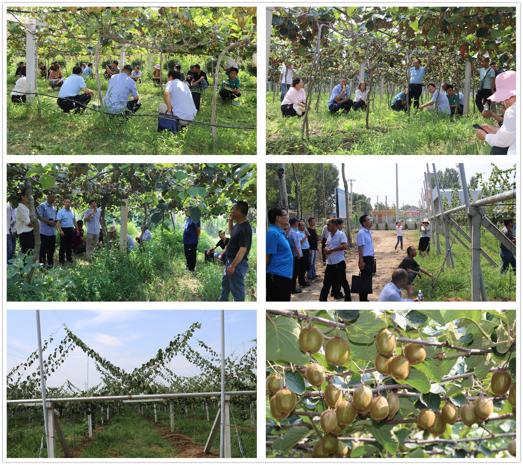 05d7e9bad03b4596bc5f51fcf1f6c538.jpg 05d7e9bad03b4596bc5f51fcf1f6c538.jpg