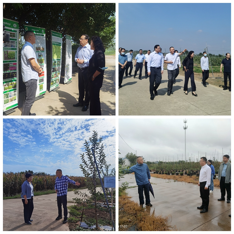 25c5e070cc674fb5acea1176148af045.jpg 25c5e070cc674fb5acea1176148af045.jpg