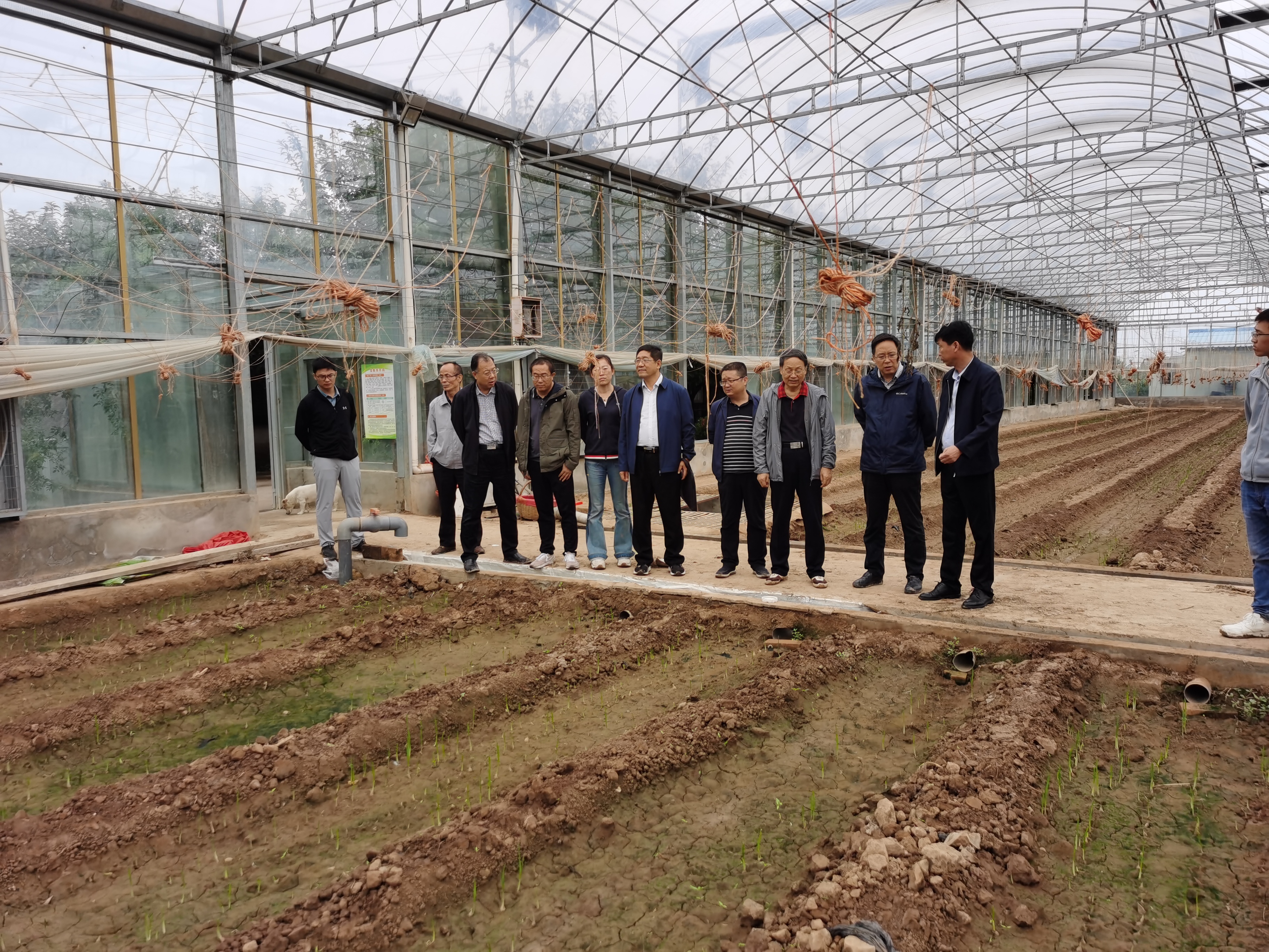 4251d0fc2739410b8c18a94db251f0d3.jpg 4251d0fc2739410b8c18a94db251f0d3.jpg