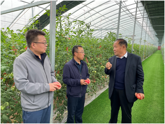 6dc583d658c841cfb74afaaf27b3b551.png 6dc583d658c841cfb74afaaf27b3b551.png