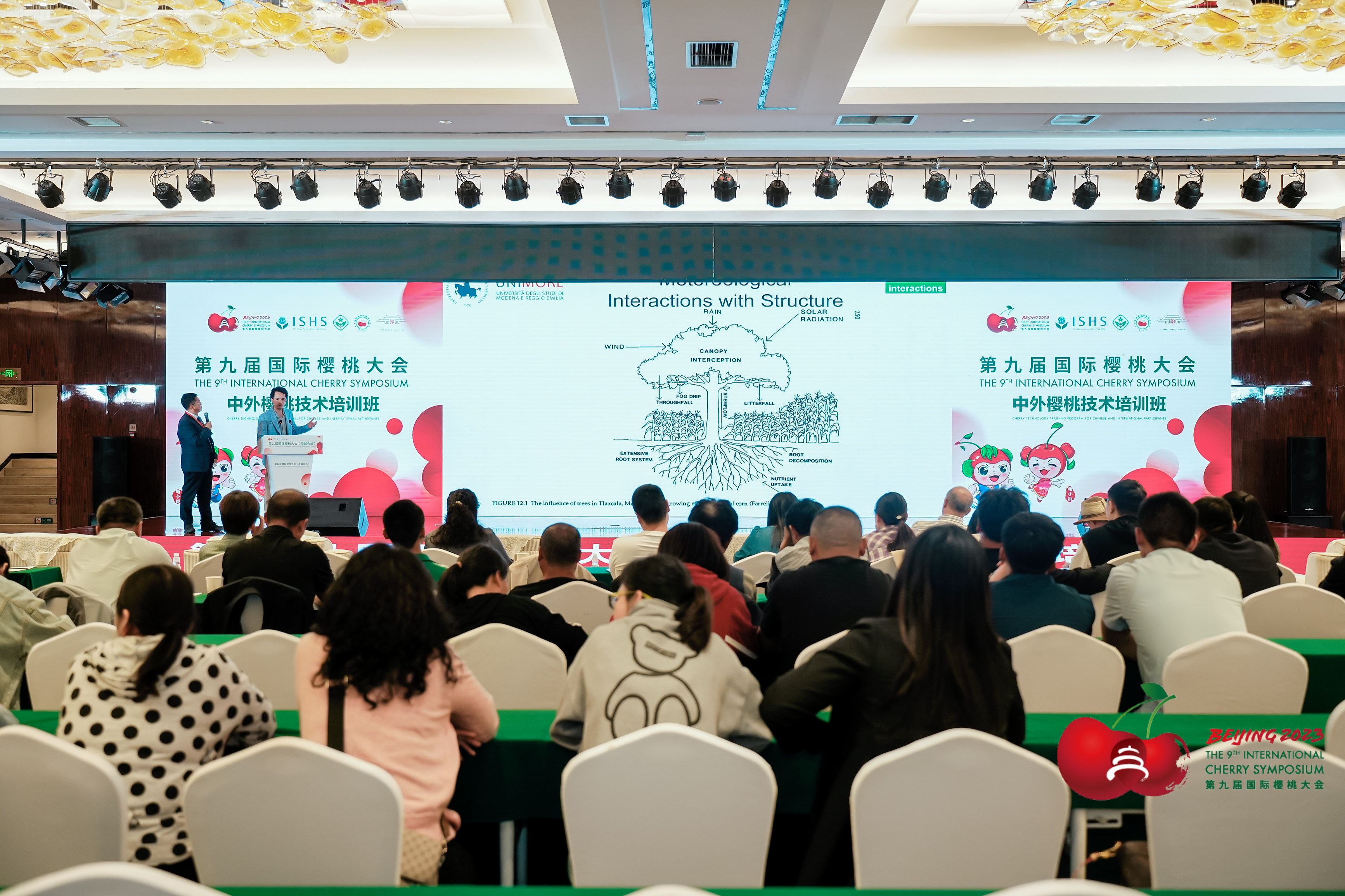 fe1ed0e6360247509152f1e032ddf3c5.jpg fe1ed0e6360247509152f1e032ddf3c5.jpg