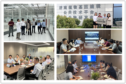 5d36045abeb1492698194920419f3d32.png 5d36045abeb1492698194920419f3d32.png