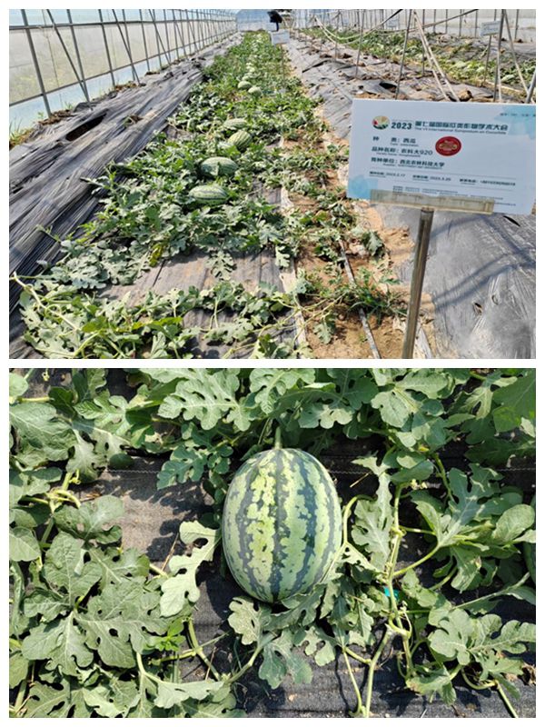 aec3dff41c104842834fc2509c9a3a32.jpg aec3dff41c104842834fc2509c9a3a32.jpg