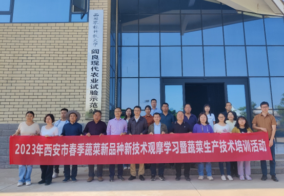 ca316648fa9f4f1a91772b350e33f18b.png ca316648fa9f4f1a91772b350e33f18b.png