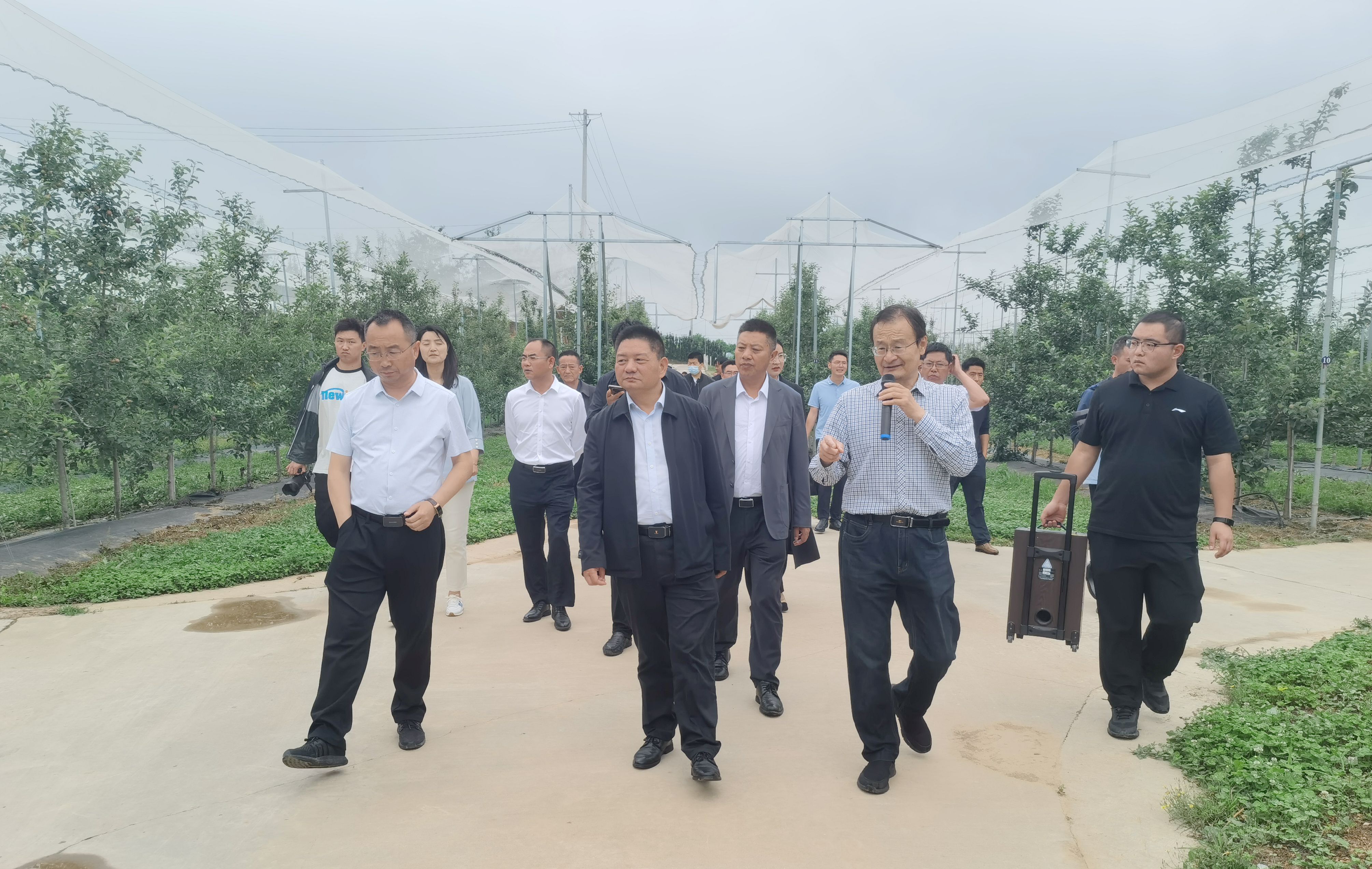 cc8d62e8d37646c58ddb896d4dc94ef7.jpg cc8d62e8d37646c58ddb896d4dc94ef7.jpg