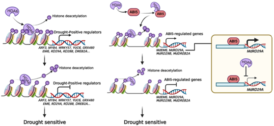 51364103b27d43d6a697ed90a746b77e.png 51364103b27d43d6a697ed90a746b77e.png